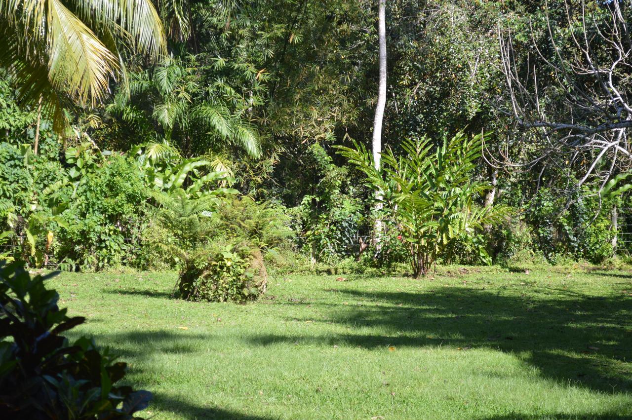 Casita Amarilla Villa Cahuita Exterior foto