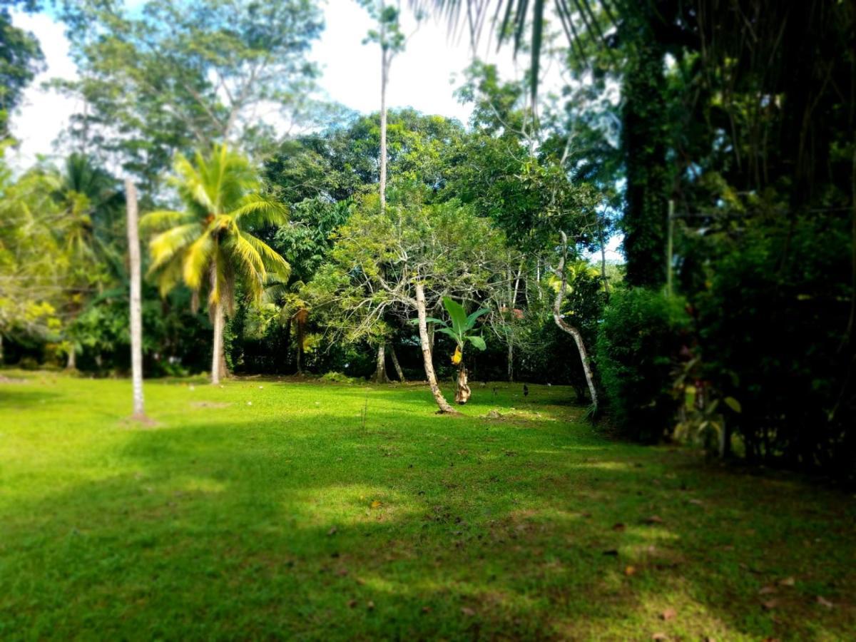 Casita Amarilla Villa Cahuita Exterior foto